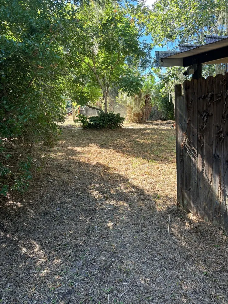 Trusted landscape installation in Keystone Heights, FL by Alexander's Outdoor Maintenance