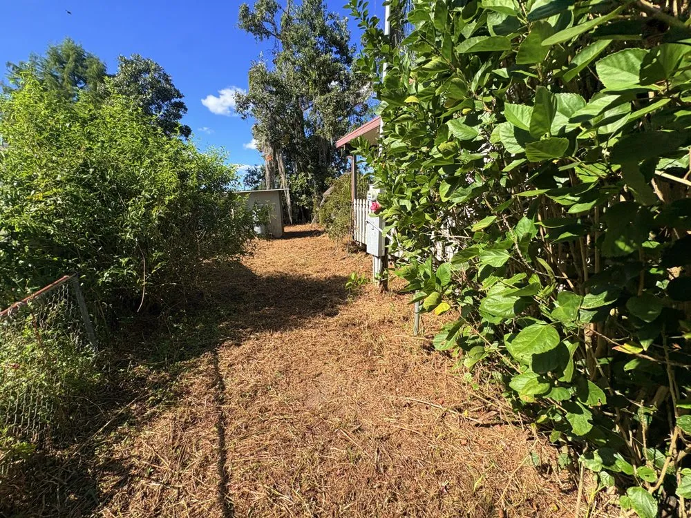 Trusted lawn mowing service in Keystone Heights, FL by Alexander's Outdoor Maintenance