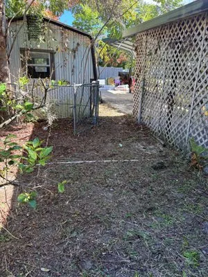 Alexander's Outdoor Maintenance Logo