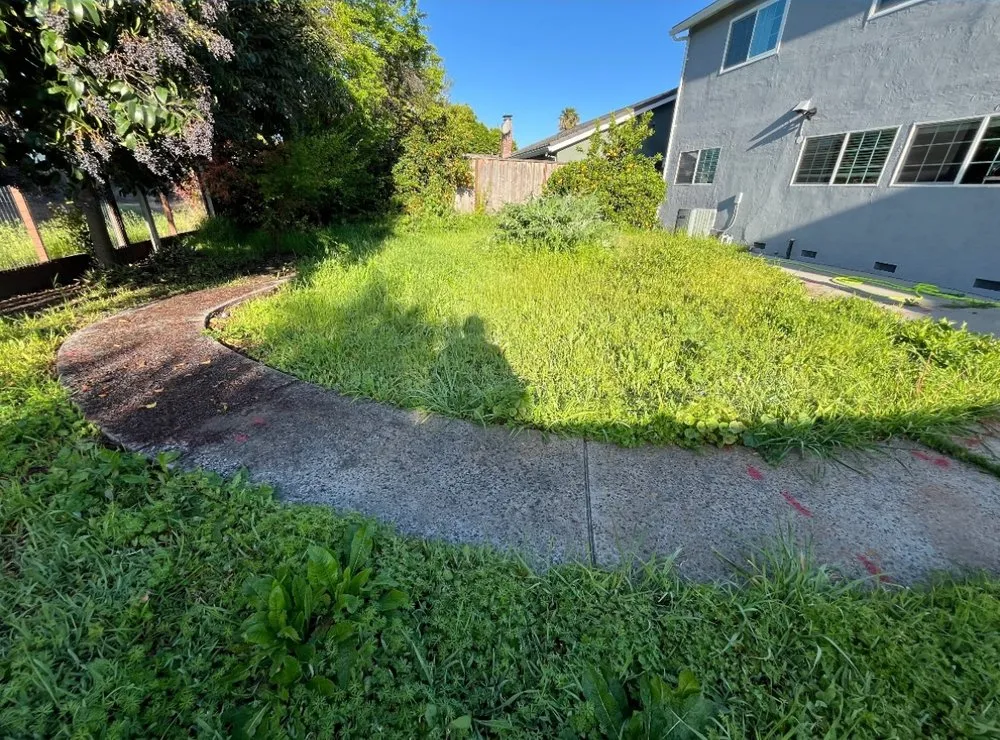 Local landscape design experts serving Sunnyvale, CA - Alexander's Pavers