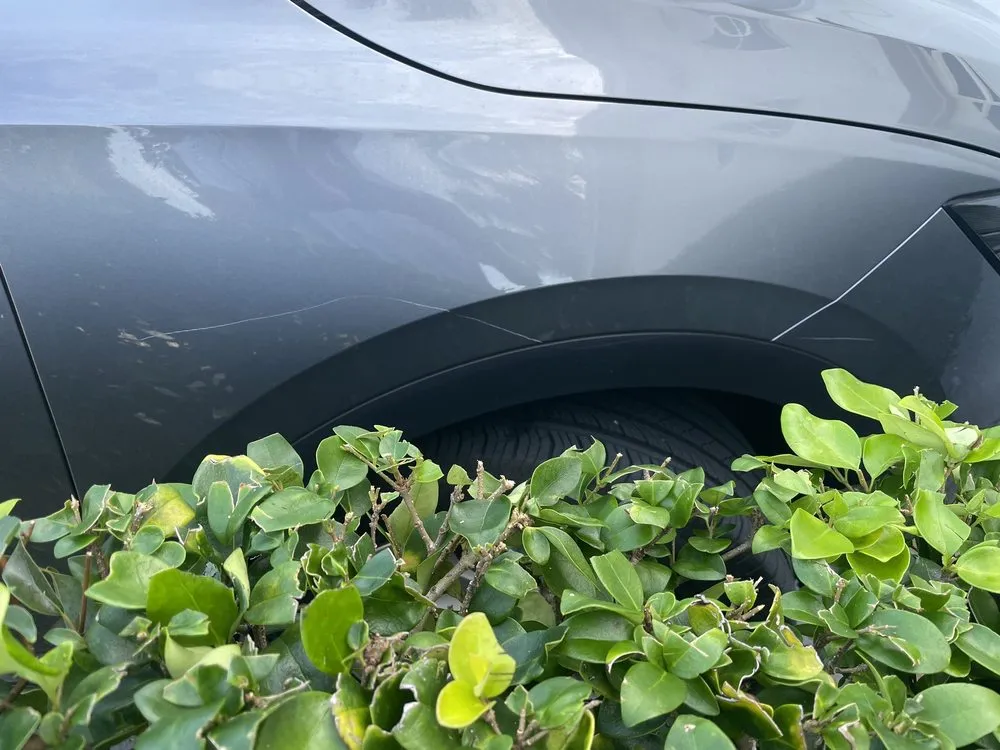 Top-rated residential landscaping for year-round maintenance across Largo, FL - Alexander's Property Maintenance