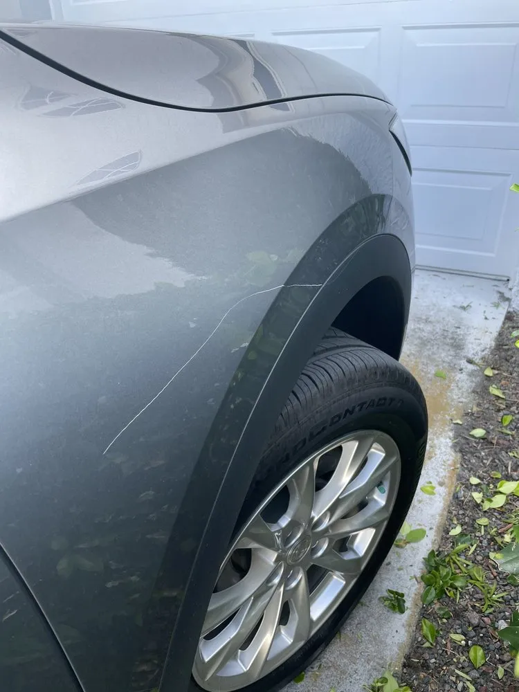 Custom landscape design near you in Largo, FL by Alexander's Property Maintenance