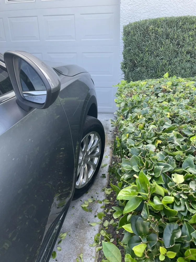 Affordable residential landscaping with custom design in Largo, FL by Alexander's Property Maintenance