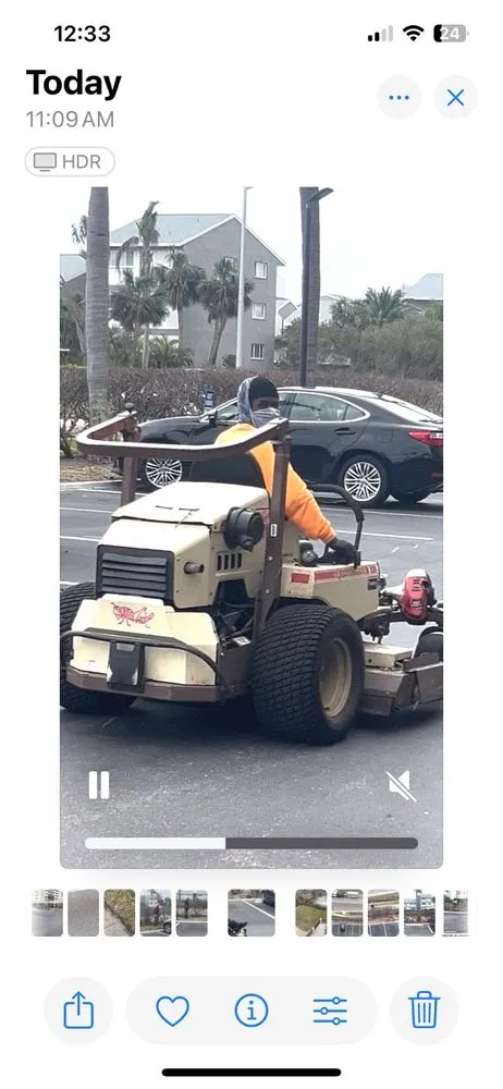 Expert yard cleanup service experts serving Largo, FL - Alexander's Property Maintenance