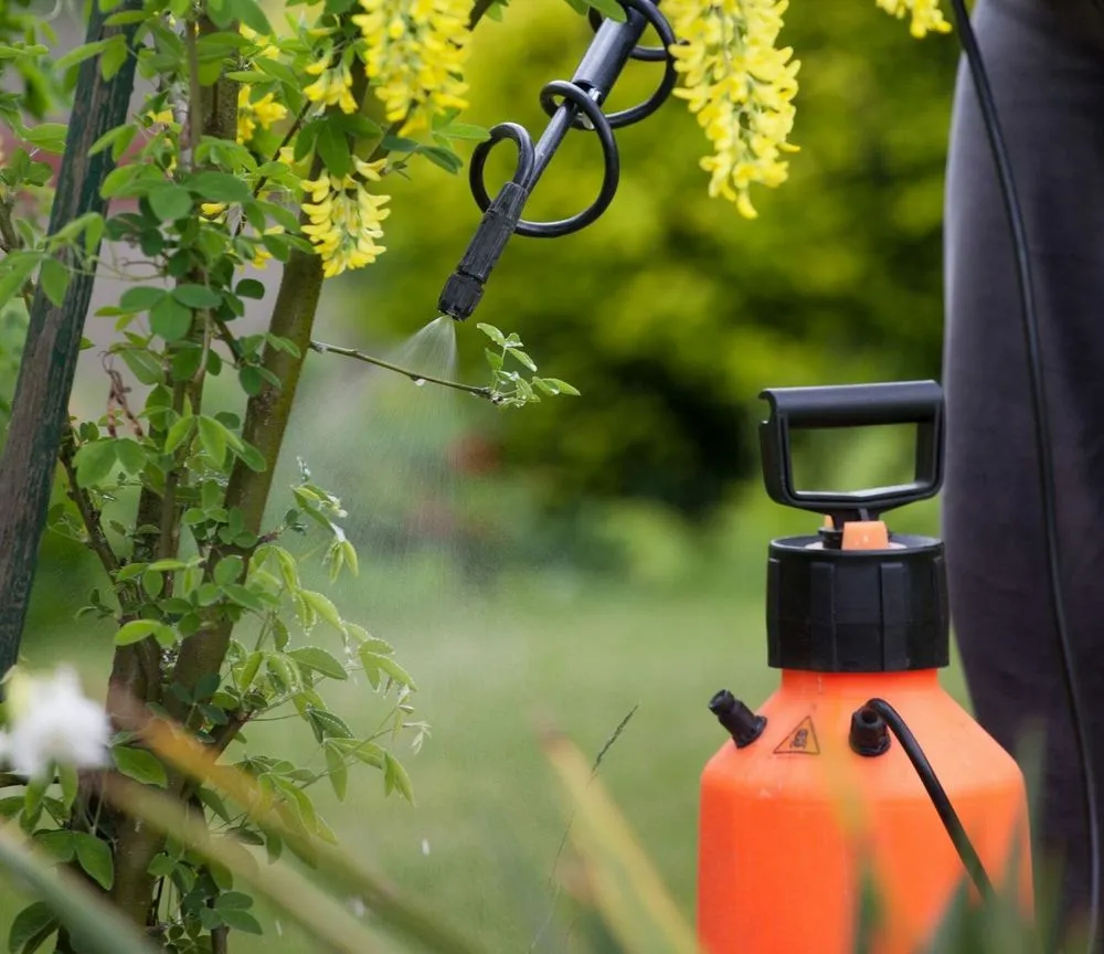 Affordable yard maintenance for residential properties across Largo, FL - Alexander's Property Maintenance