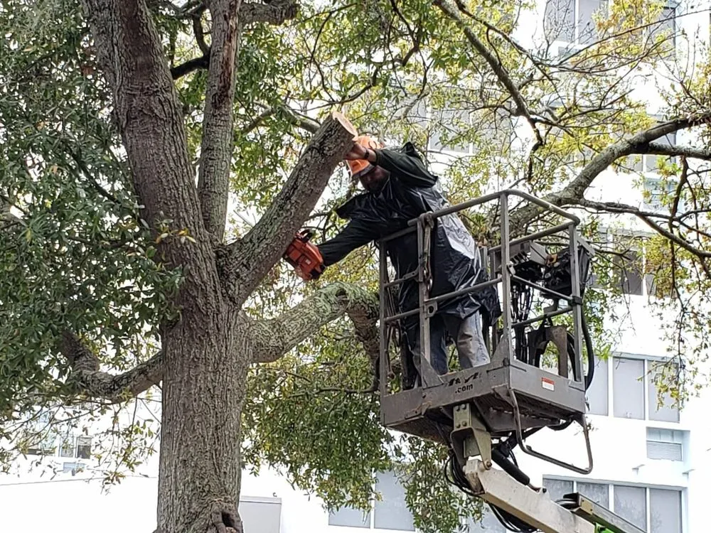 Custom landscape design for homes in Largo, FL by Alexander's Property Maintenance