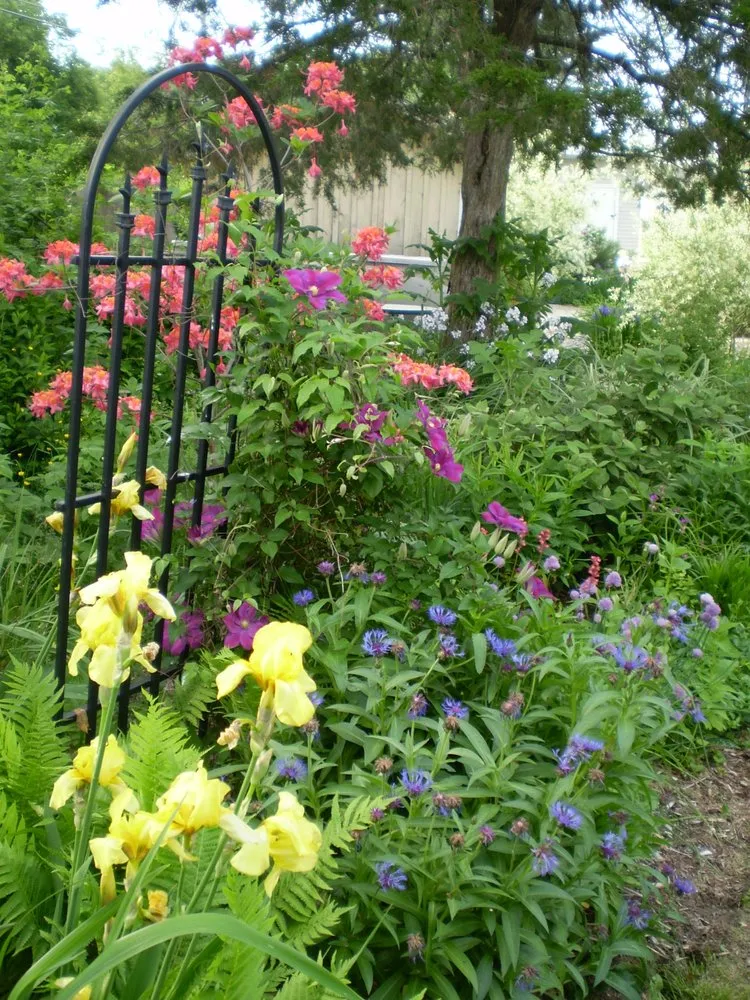 Local lawn care service experts serving Guilford, CT - Alexandra's Gardens