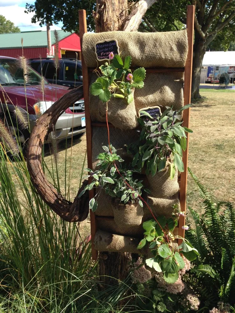 Top-rated yard cleanup service in Guilford, CT by Alexandra's Gardens