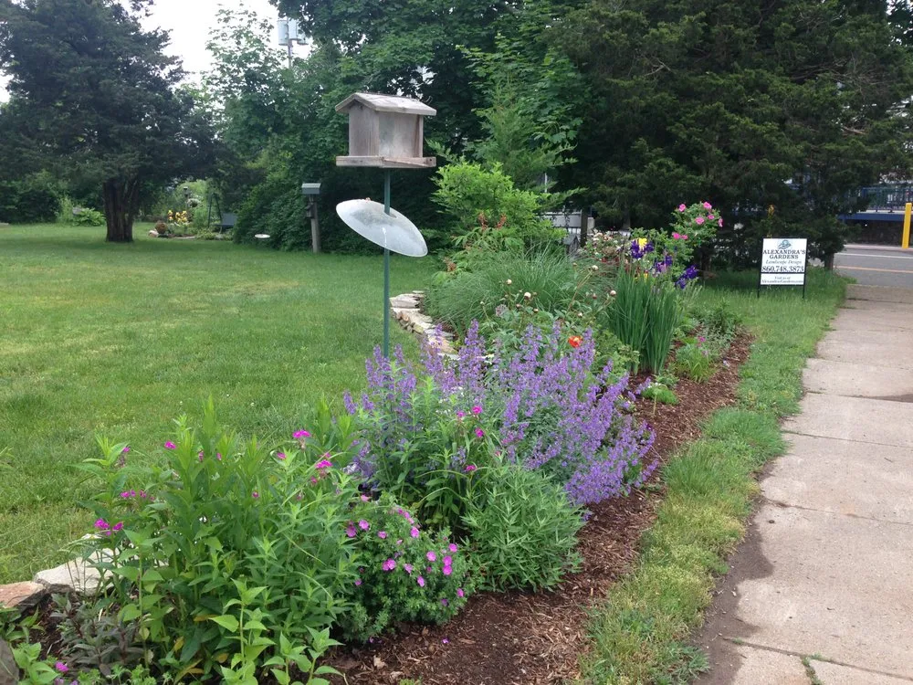 Top-rated lawn mowing service for residential properties across Guilford, CT - Alexandra's Gardens