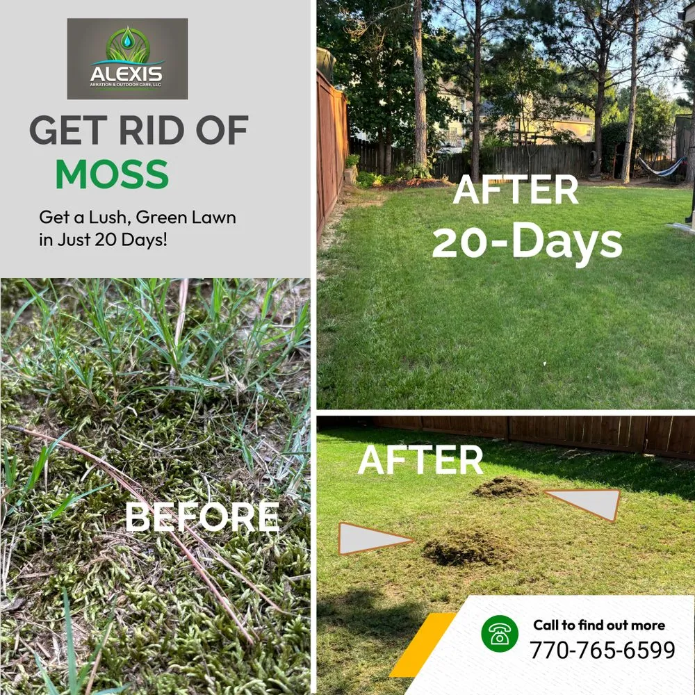 Custom landscape design in Dallas, GA - Alexis Aeration & Outdoor Care