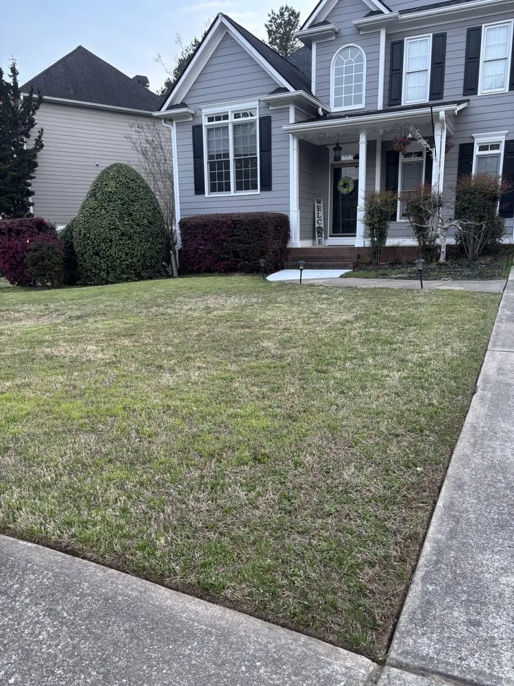 Local yard cleanup service experts serving Dallas, GA - Alexis Aeration & Outdoor Care