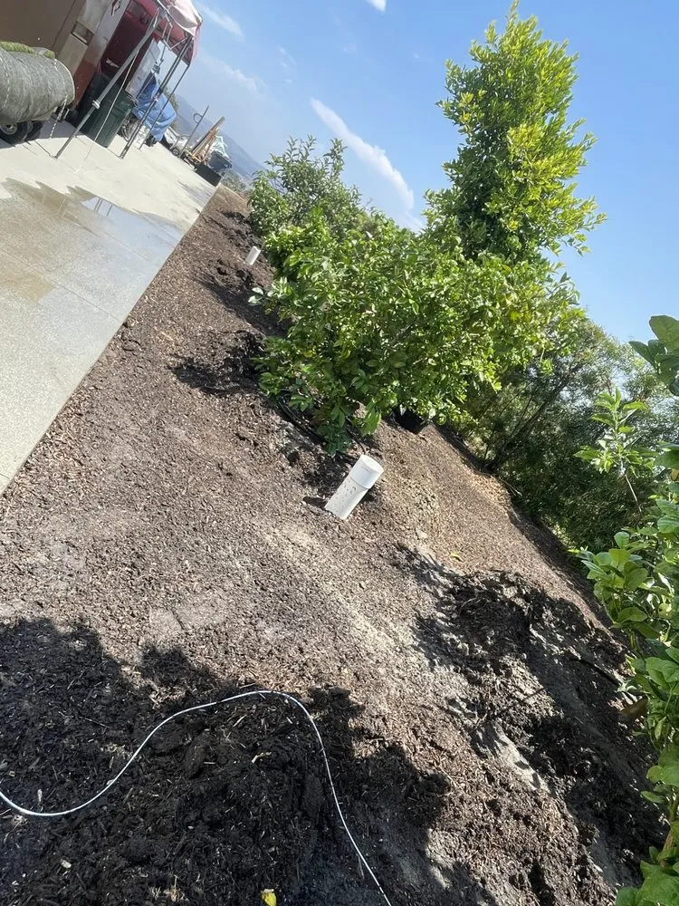 Expert residential landscaping in Fallbrook, CA - Alexis Landscape Specialist