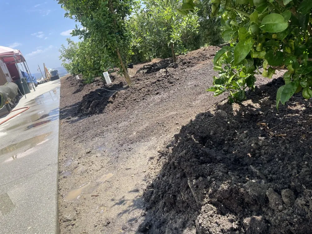 Custom residential landscaping near you in Fallbrook, CA by Alexis Landscape Specialist