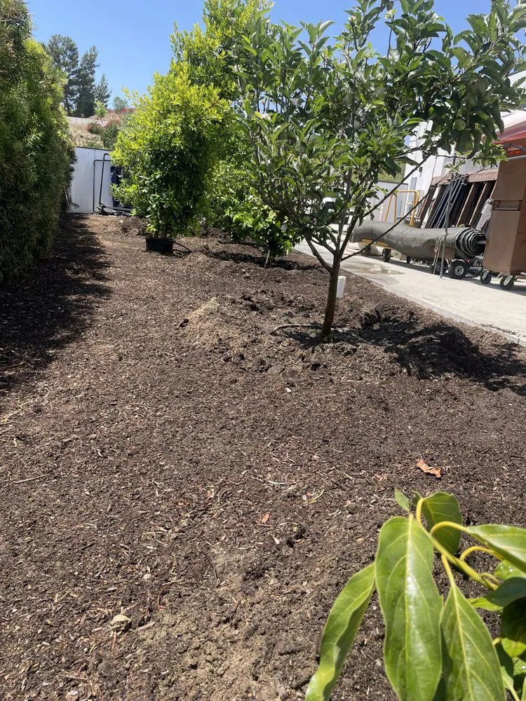 Custom outdoor landscaping in Fallbrook, CA by Alexis Landscape Specialist