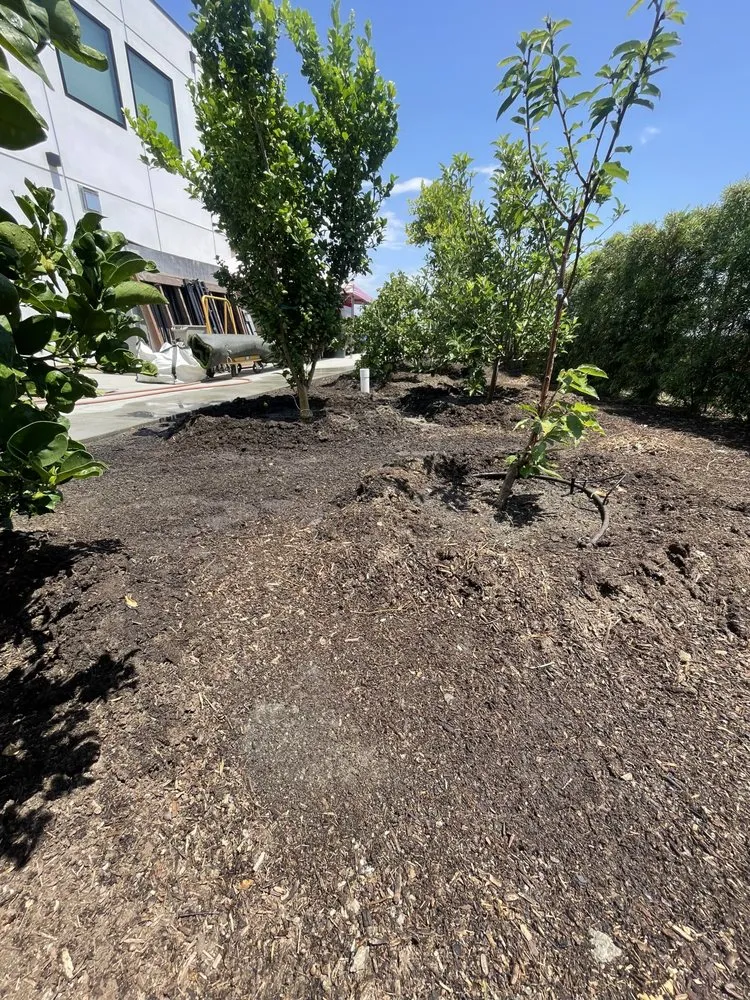 Local residential landscaping in Fallbrook, CA by Alexis Landscape Specialist