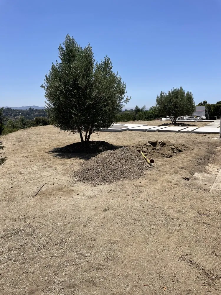 Top-rated landscape installation in Fallbrook, CA by Alexis Landscape Specialist