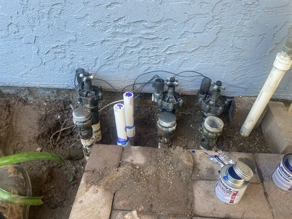 Reliable landscape design experts serving Fallbrook, CA - Alexis Landscape Specialist