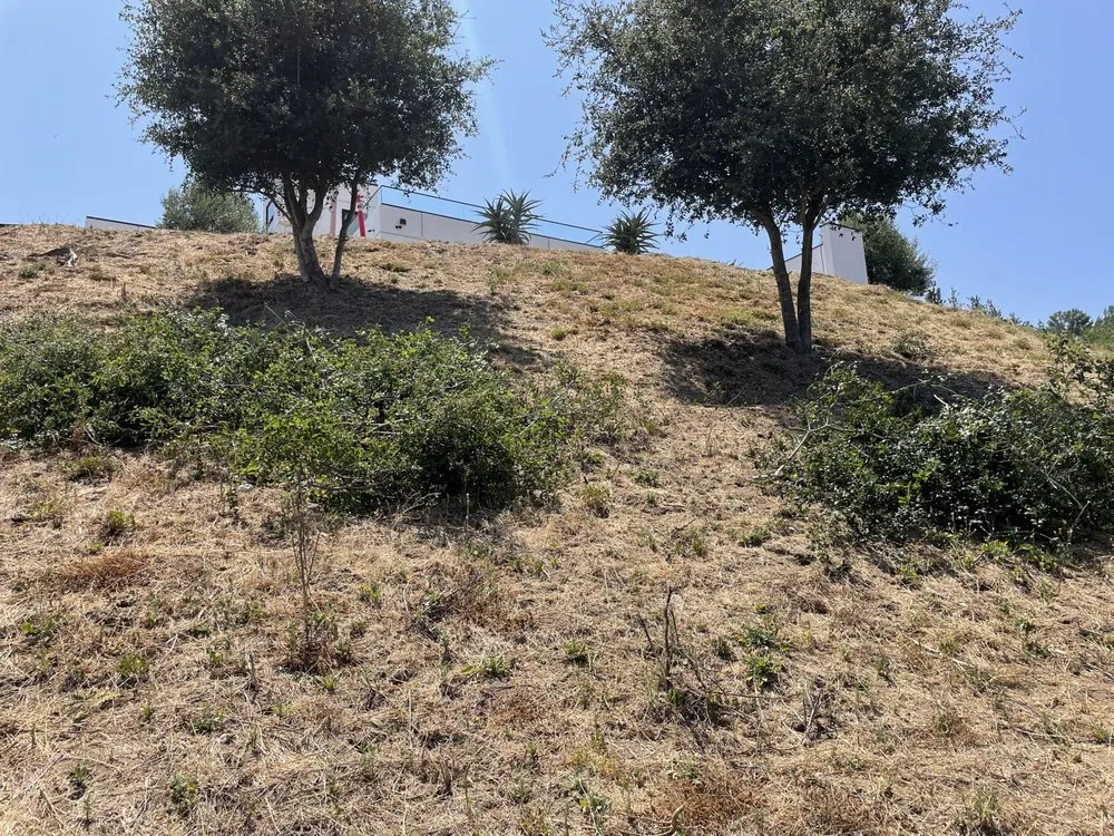 Reliable yard maintenance experts serving Fallbrook, CA - Alexis Landscape Specialist