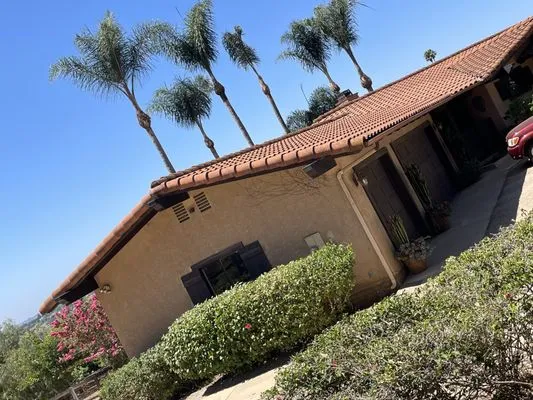 Alexis Landscape Specialist Logo