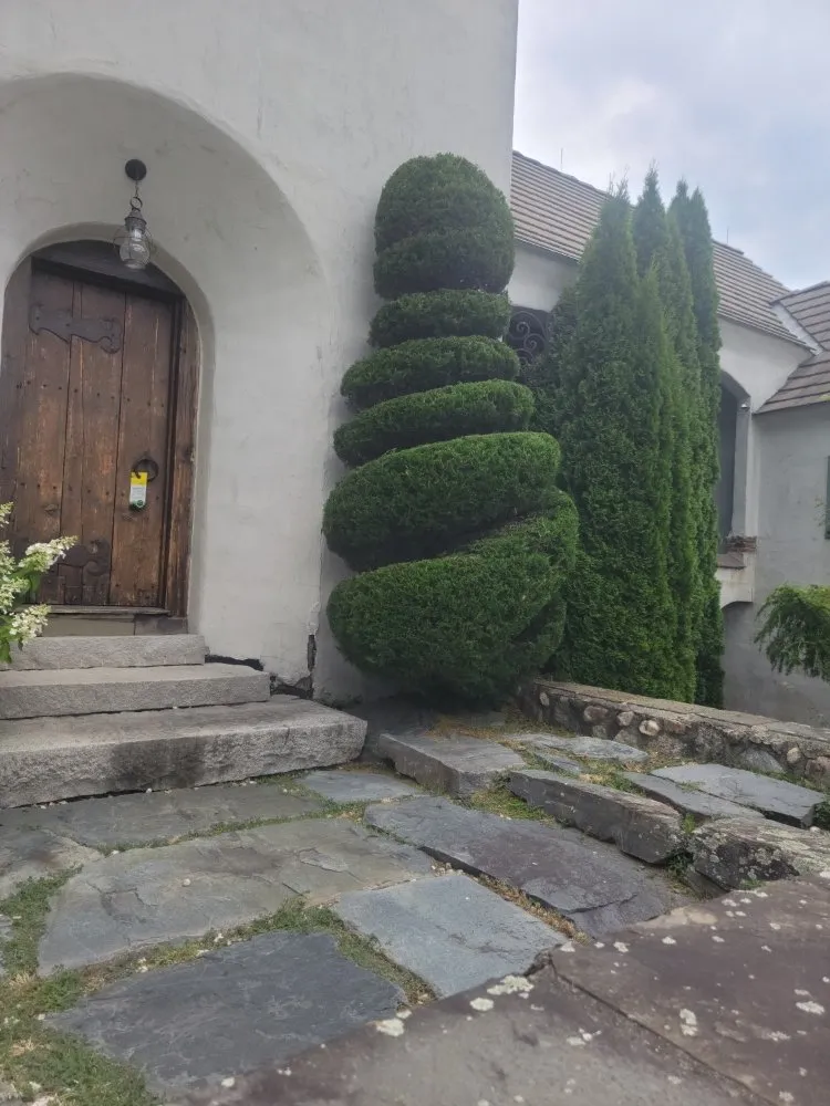 Expert yard maintenance in Revere, MA by Alexis Landscaping