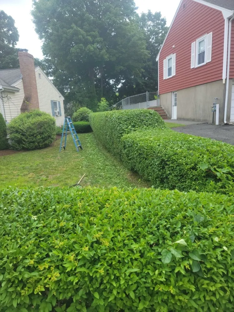 Custom lawn mowing service experts serving Revere, MA - Alexis Landscaping