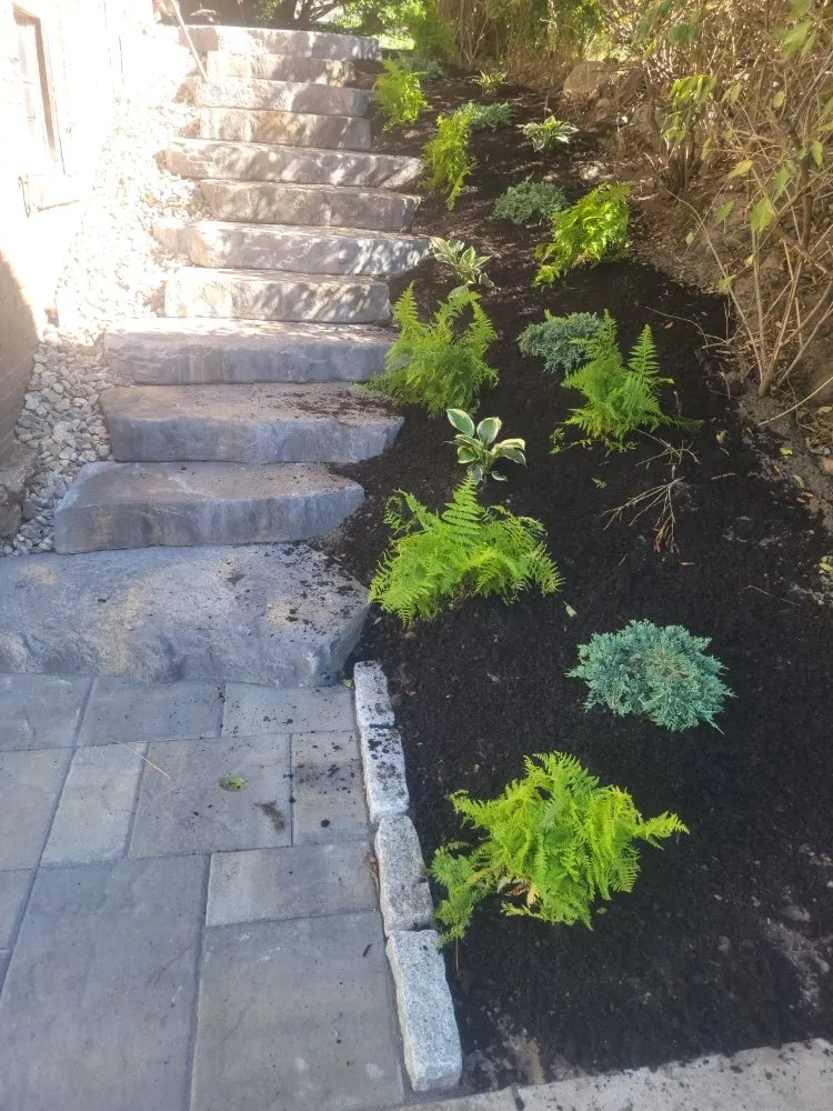 Custom yard maintenance in Revere, MA - Alexis Landscaping