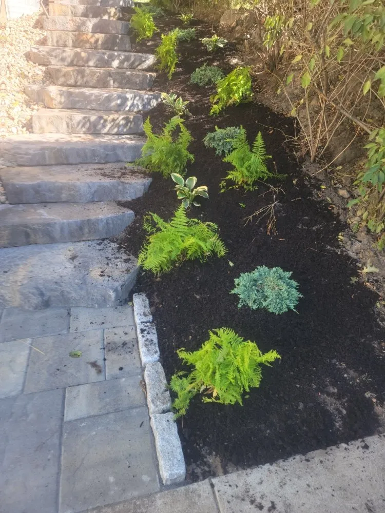 Affordable landscape installation with custom design across Revere, MA - Alexis Landscaping