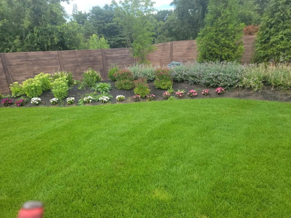 Reliable lawn mowing service in Revere, MA - Alexis Landscaping
