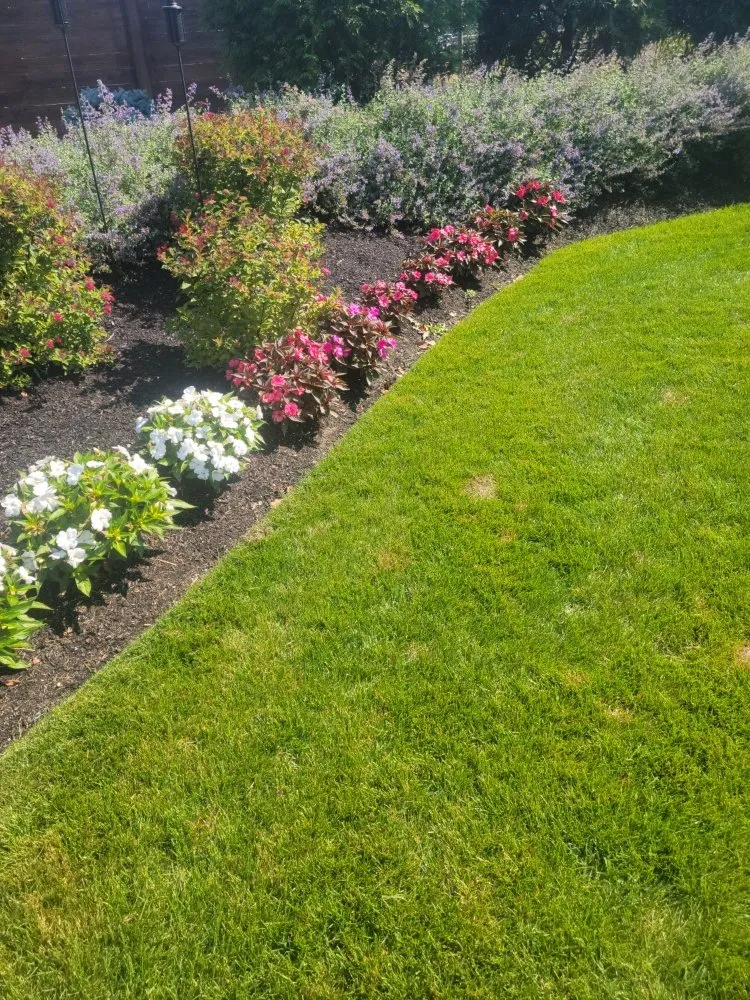 Affordable landscape installation in Revere, MA - Alexis Landscaping