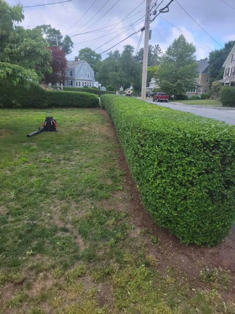 Top-rated garden landscaping in Revere, MA - Alexis Landscaping