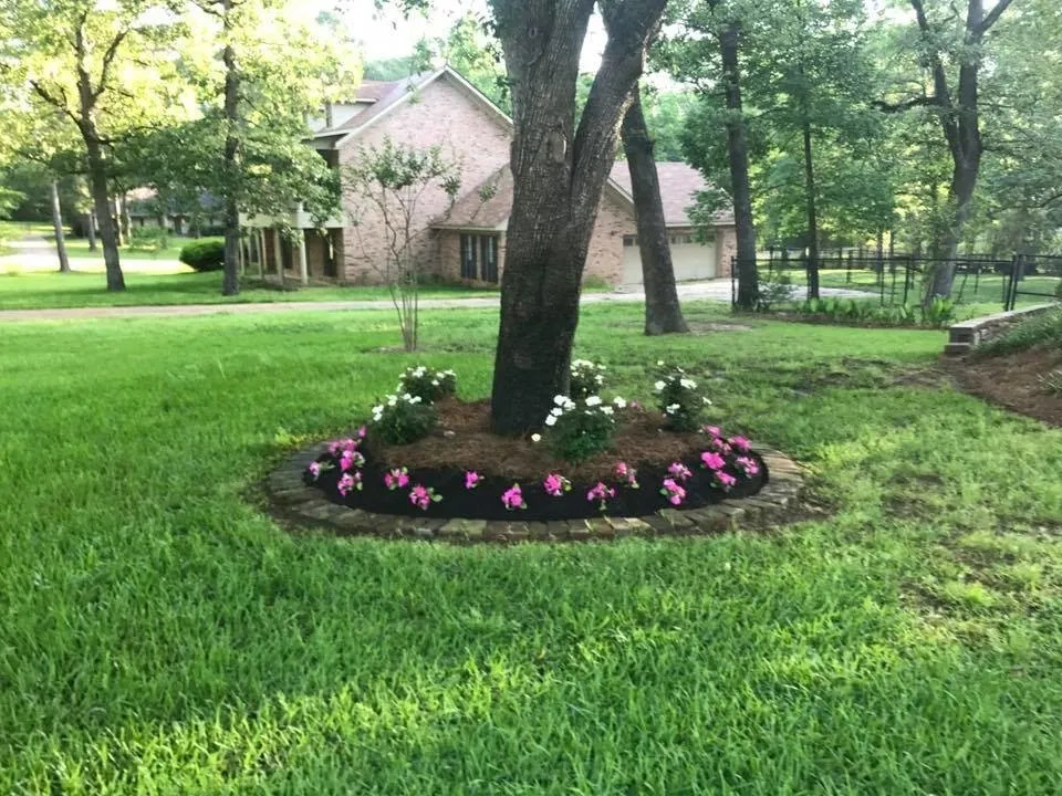 Expert yard cleanup service with custom design across Shreveport, LA - Alexis Lawn and Landscape