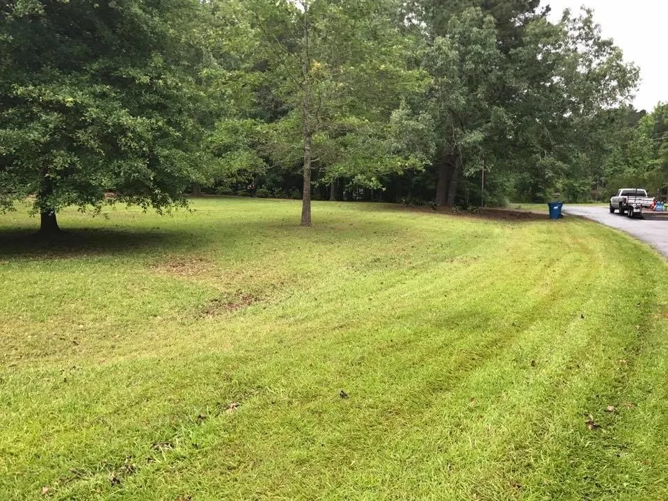 Expert yard cleanup service in Shreveport, LA - Alexis Lawn and Landscape