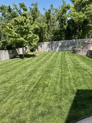 Alexis lawn care Logo