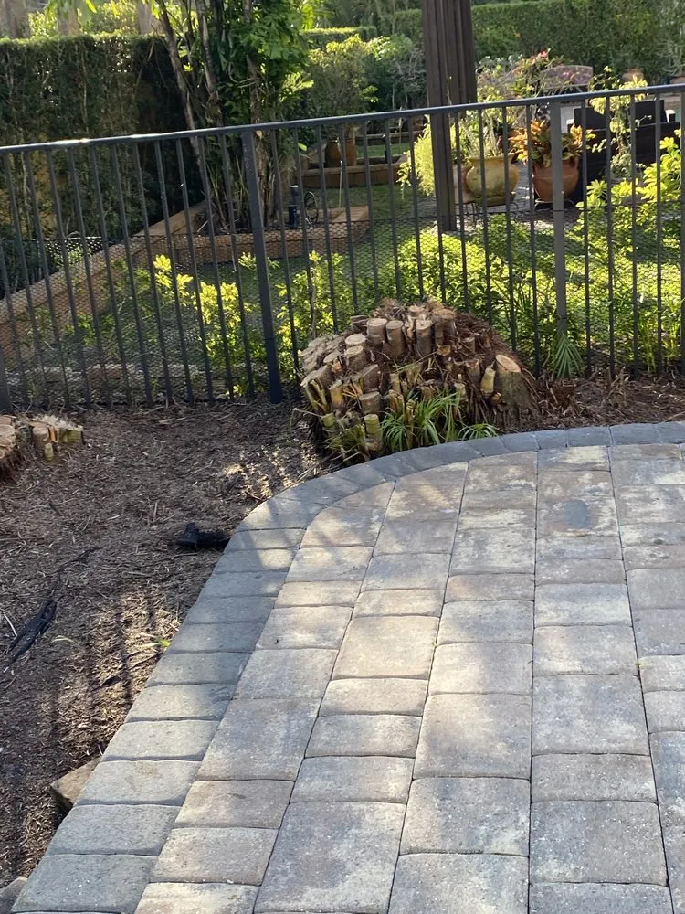 Expert yard maintenance in Boynton Beach, FL - Alexis Lawn Care Service