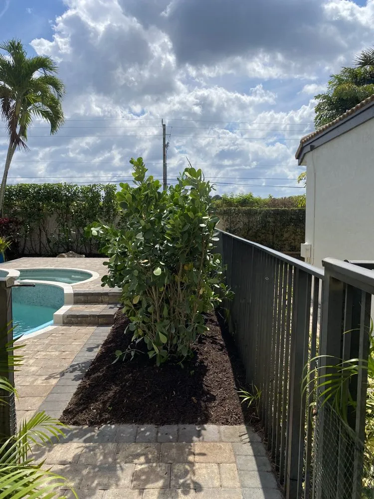 Expert outdoor landscaping in Boynton Beach, FL - Alexis Lawn Care Service