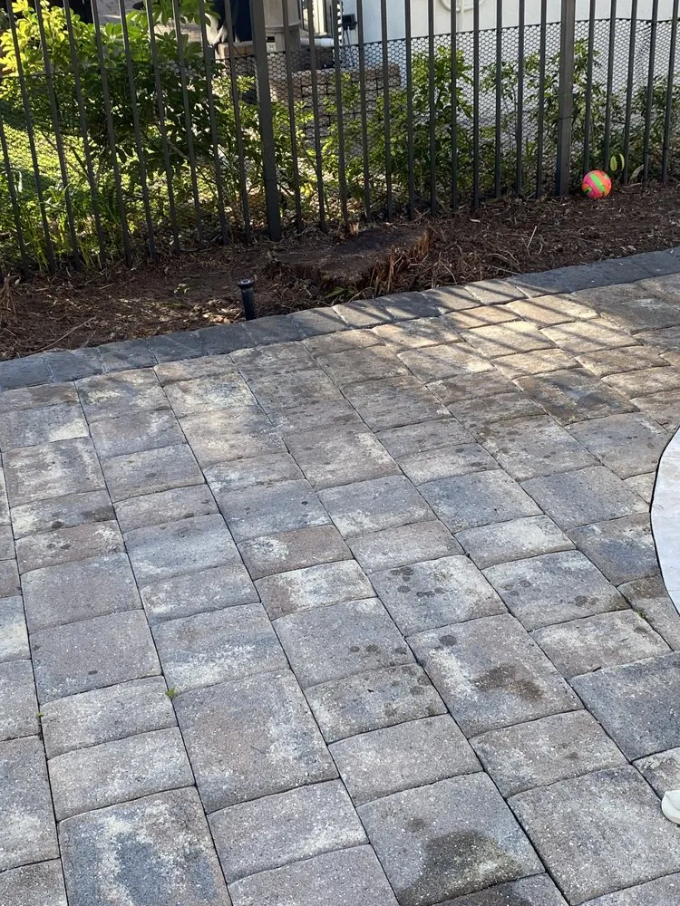 Custom landscaping services for year-round maintenance in Boynton Beach, FL by Alexis Lawn Care Service