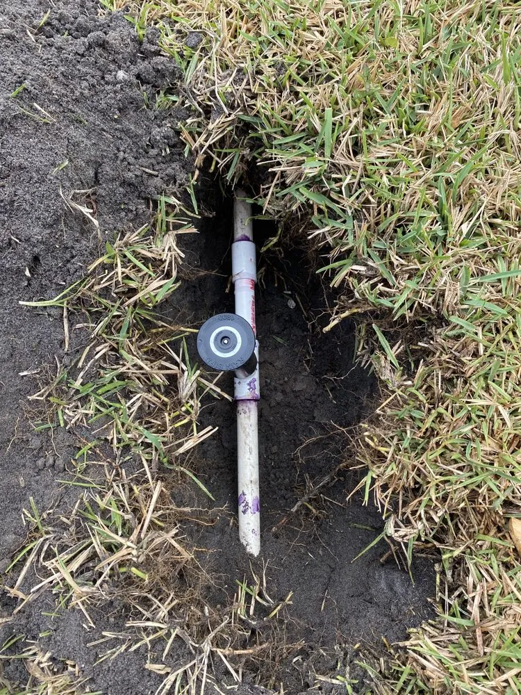 Reliable residential landscaping in Boynton Beach, FL - Alexis Lawn Care Service