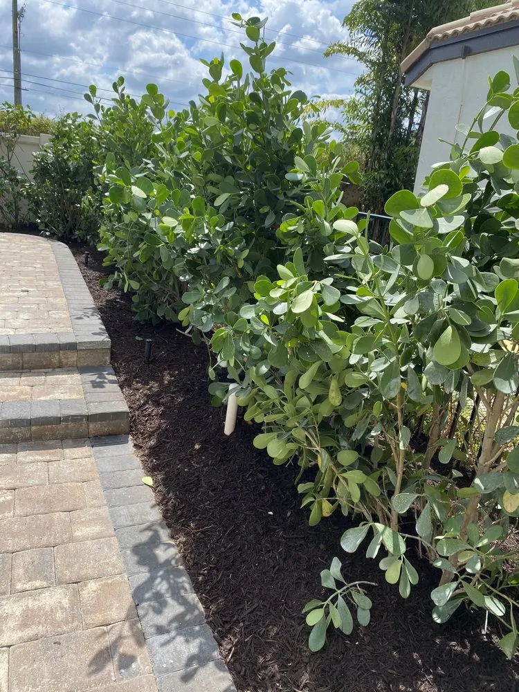 Top-rated yard maintenance experts serving Boynton Beach, FL - Alexis Lawn Care Service