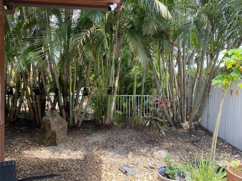Reliable outdoor landscaping for residential properties across Boynton Beach, FL - Alexis Lawn Care Service