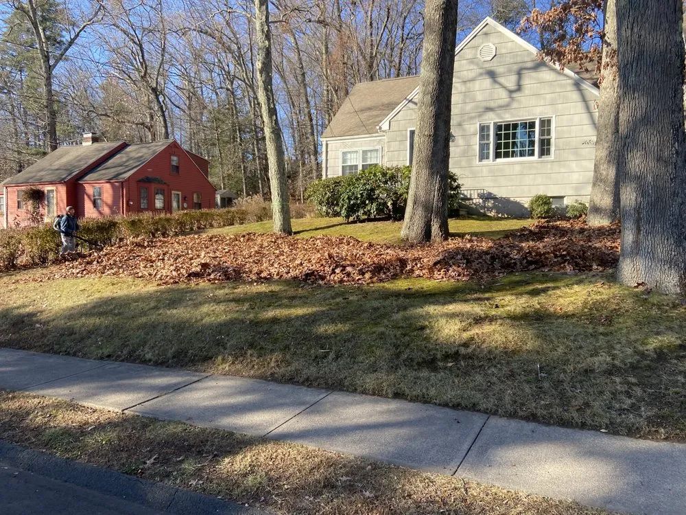 Professional landscaping services in Torrington, CT - Alex’s Cleaning Service
