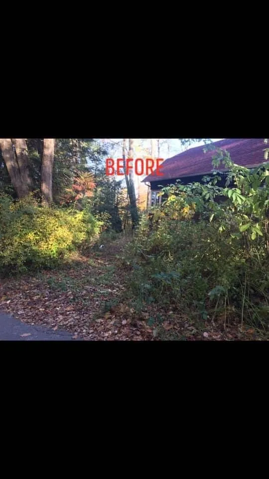 Reliable landscape installation in Torrington, CT - Alex’s Cleaning Service