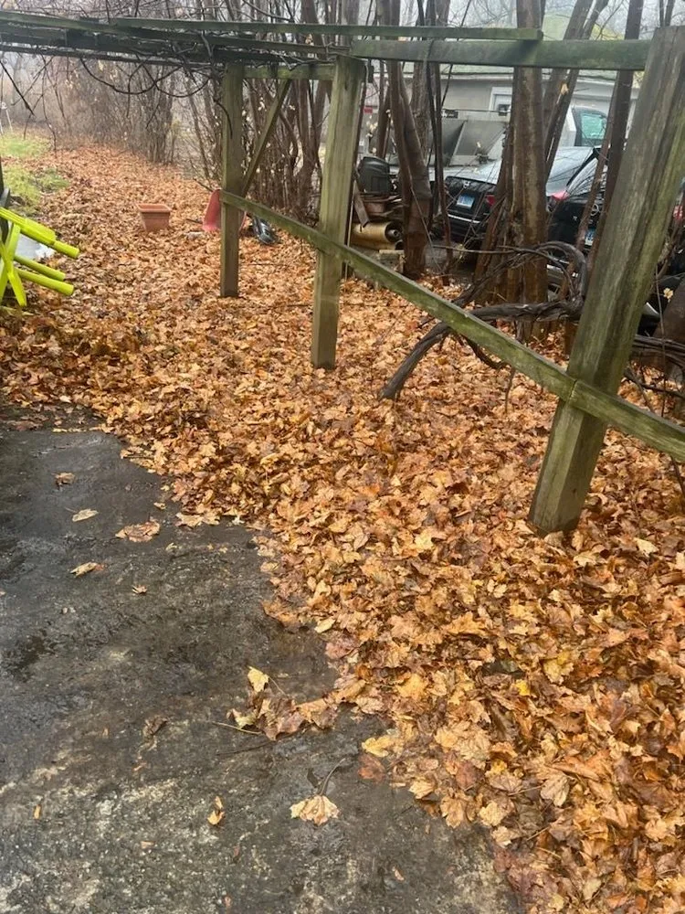 Reliable lawn care service in Torrington, CT by Alex’s Cleaning Service