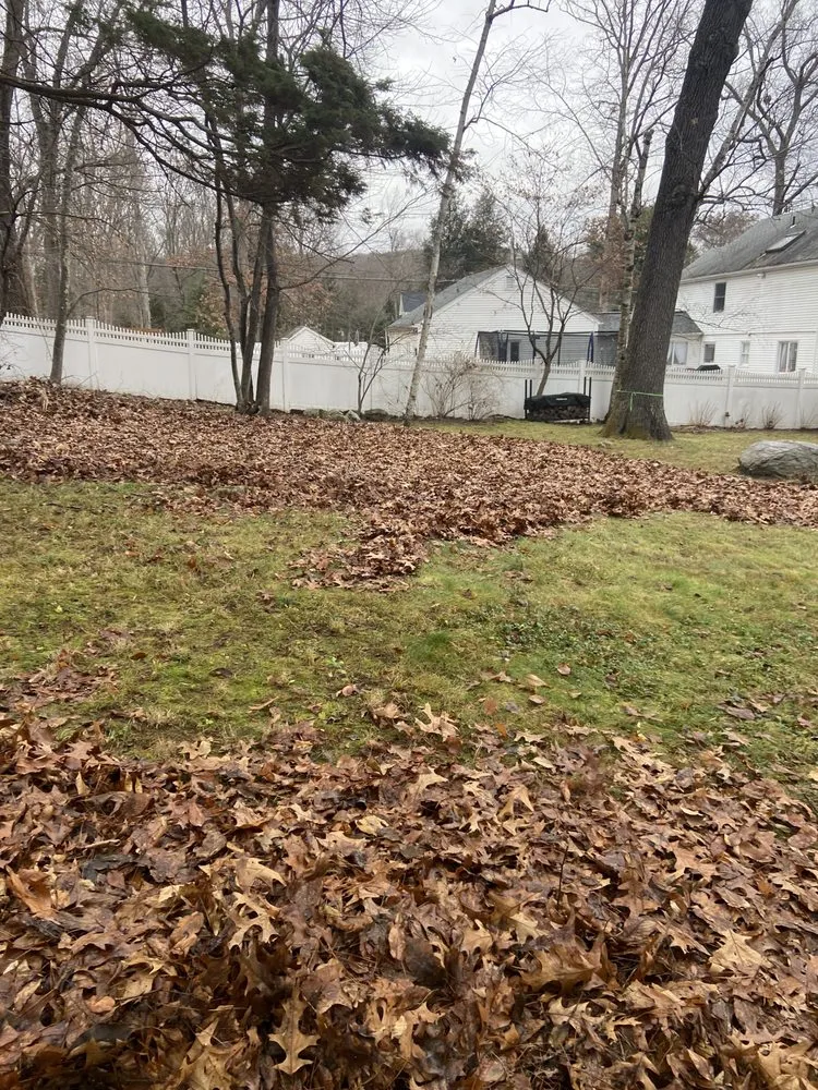 Trusted landscape installation in Torrington, CT - Alex’s Cleaning Service