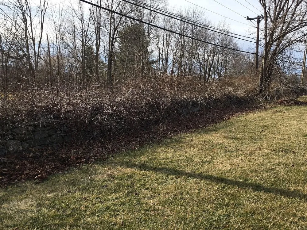 Expert yard cleanup service with custom design in Torrington, CT by Alex’s Cleaning Service