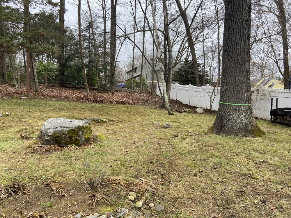 Affordable yard cleanup service in Torrington, CT - Alex’s Cleaning Service