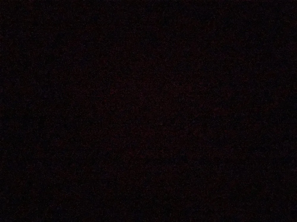 Expert lawn mowing service in Monroe, MI - Alex’s Complete Lawn Care