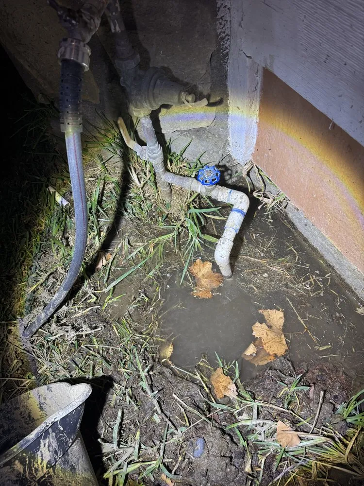 Expert lawn care service for outdoor upgrades in Highland, CA by Alex’s Concrete & Landscaping