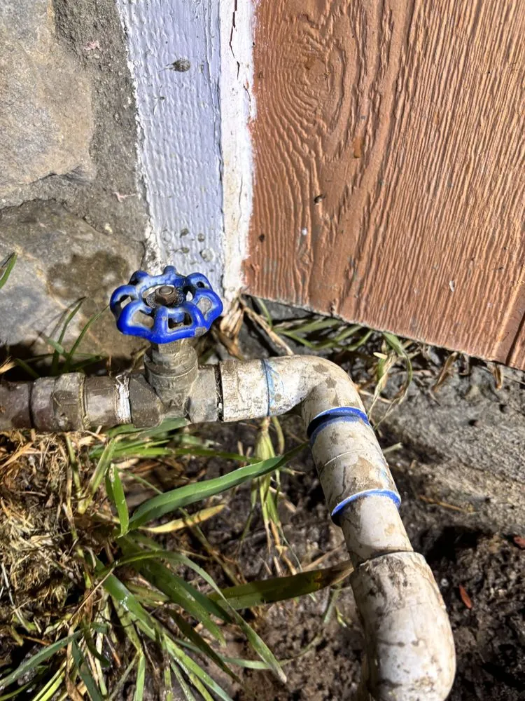 Trusted residential landscaping experts serving Highland, CA - Alex’s Concrete & Landscaping