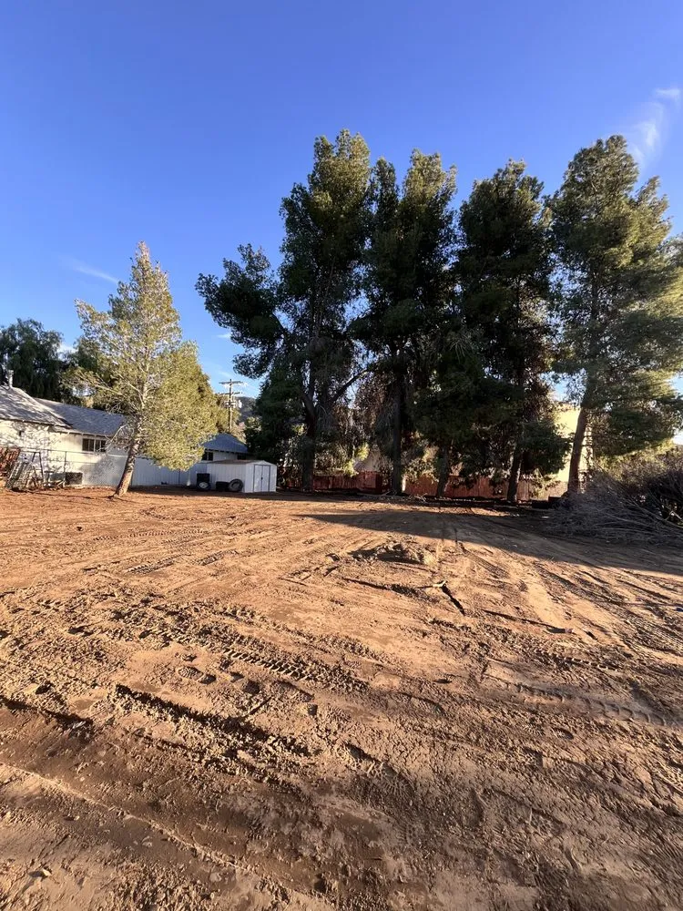 Custom landscape design experts serving Highland, CA - Alex’s Concrete & Landscaping