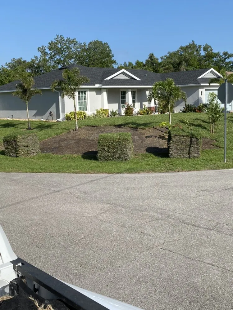 Expert yard cleanup service experts serving Port Charlotte, FL - Alexs Full Service Landscaping